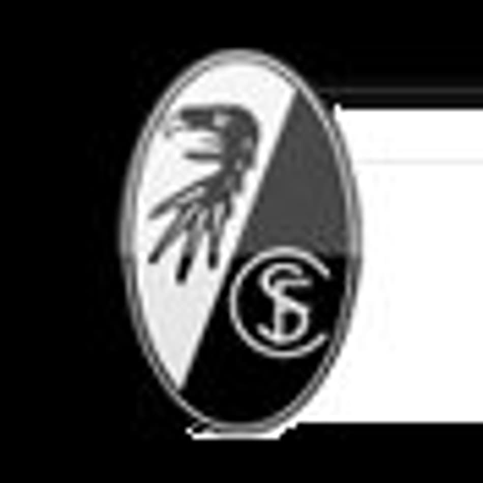 Escudo Freiburg