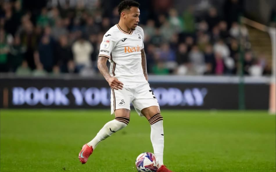 Ronald - Swansea