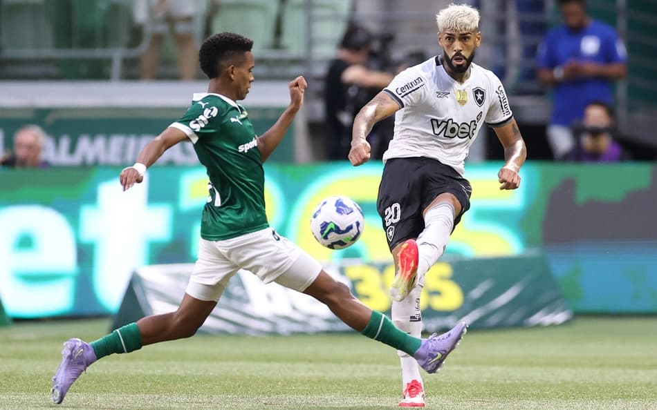 Estêvão e Alexander Barboza no último Palmeiras x Botafogo (Foto: Vítor Silva/Botafogo)