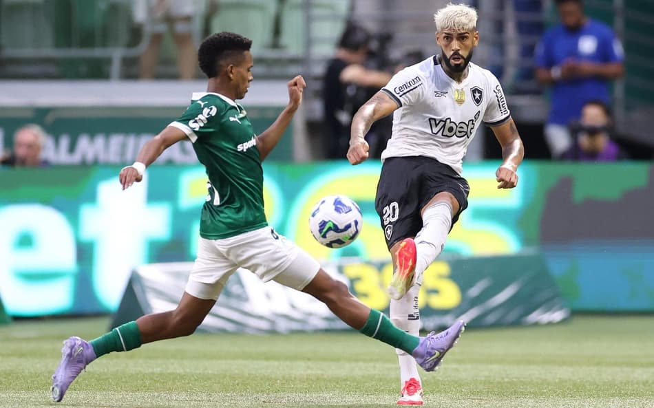 Estêvão e Alexander Barboza no último Palmeiras x Botafogo (Foto: Vítor Silva/Botafogo)