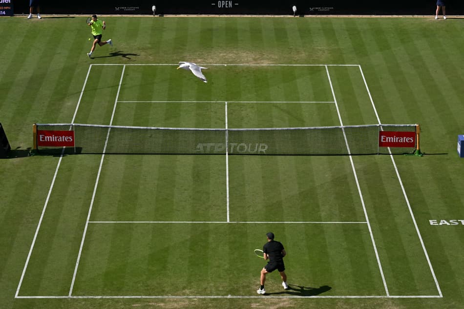 Uma gaivota sobrevoa a partida entre Jakub Mensik e Alejandro Davidovich no ATP de Eastbourne (foto: Glyn KIRK / AFP)