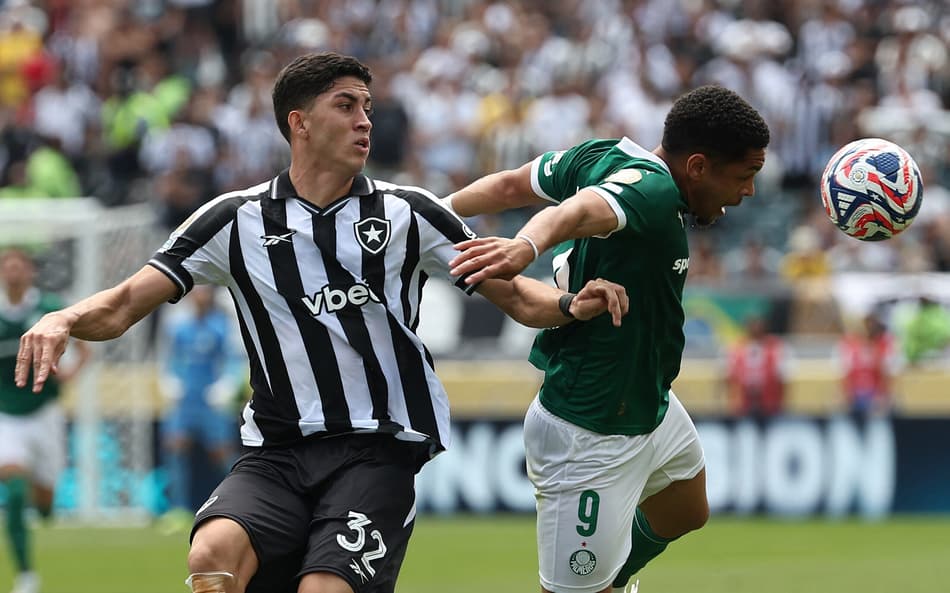 Palmeiras Botafogo