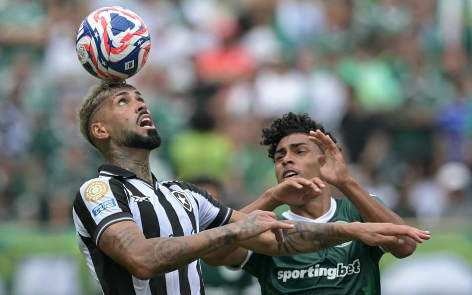Alexander Barboza em ação pelo Botafogo na derrota para o Palmeiras (Foto: Juan Mabromata/AFP)