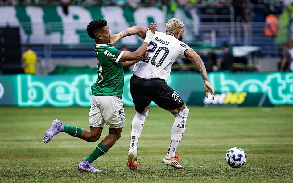 Estêvão e Barboza no último encontro de Palmeiras e Botafogo (Foto: Fabio Giannelli/AGIF)