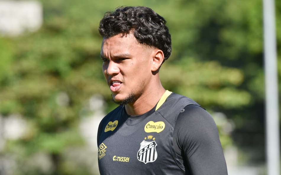 Veron deve deixar o Santos (Foto: Jota Erre/AGIF)