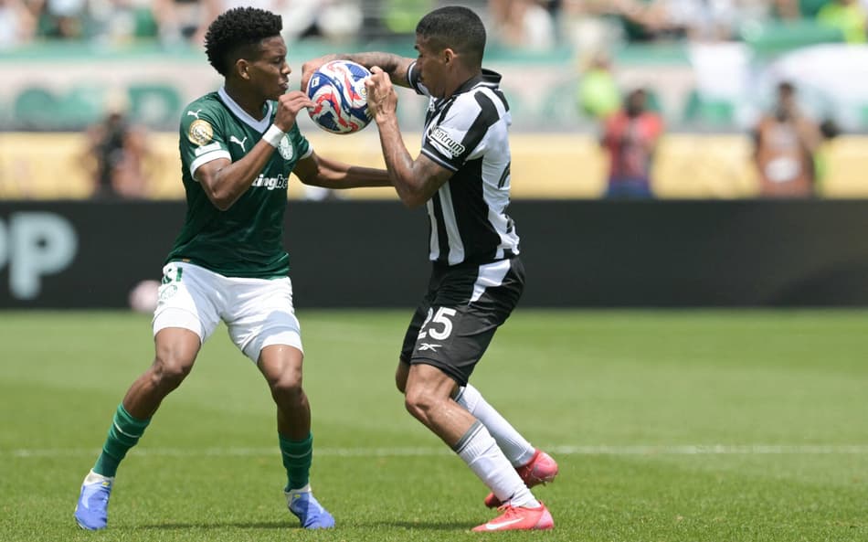 Palmeiras x Botafogo