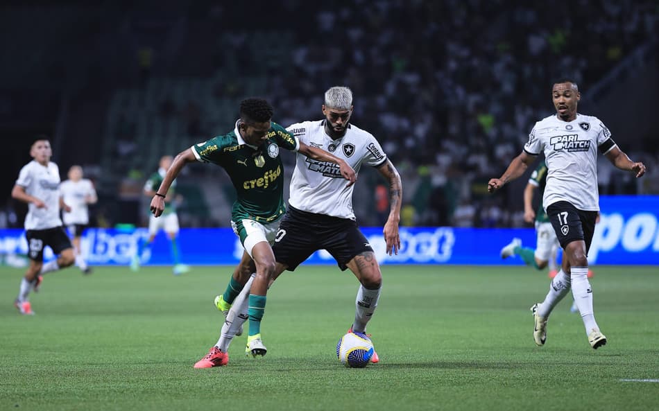 Botafogo e Palmeiras