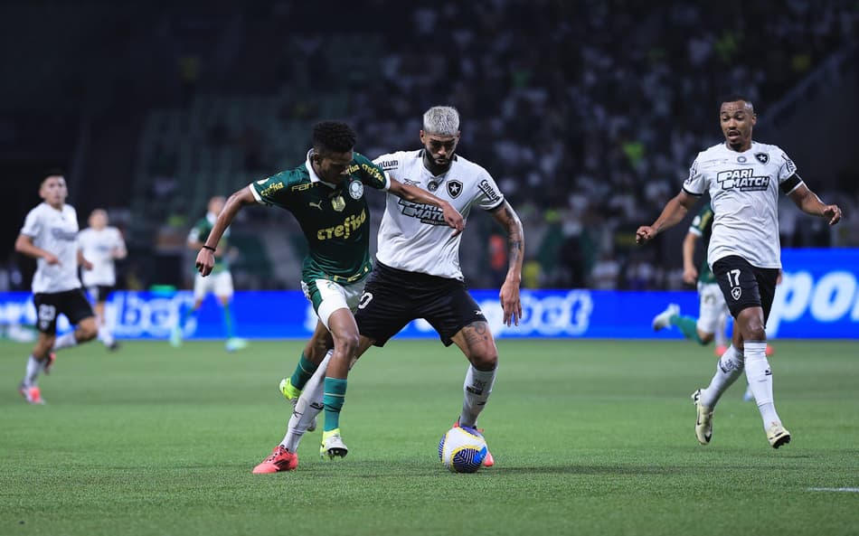 Botafogo e Palmeiras