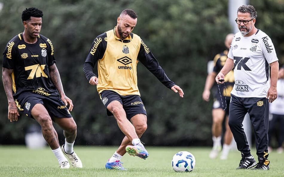Guilherme é o artilheiro do time na temporada com 12 gols. (Foto: Raul Baretta/ Santos FC)