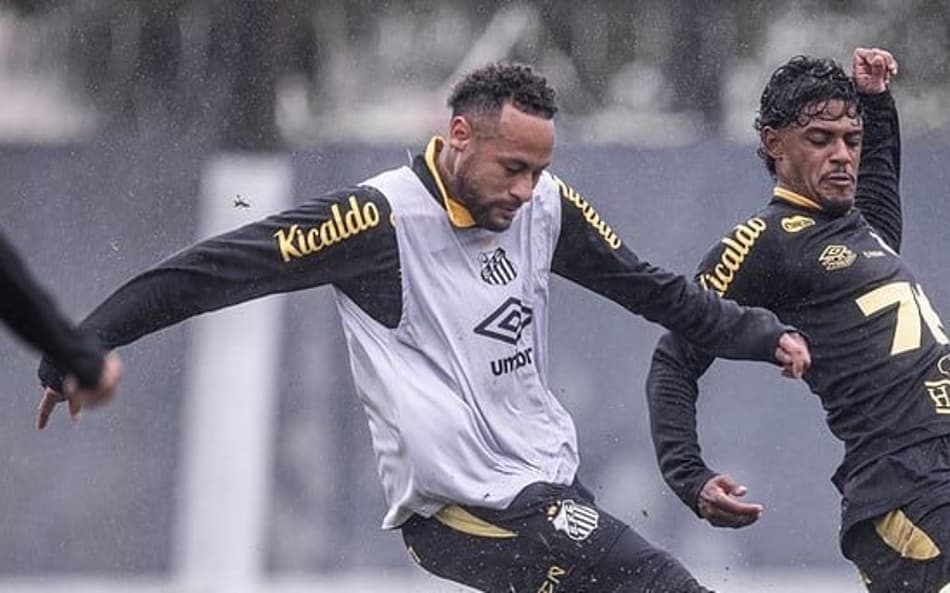 Santos está em 15º lugar no Campeonato Brasileiro com 11 pontos. (Foto: Raul Baretta/ Santos FC)