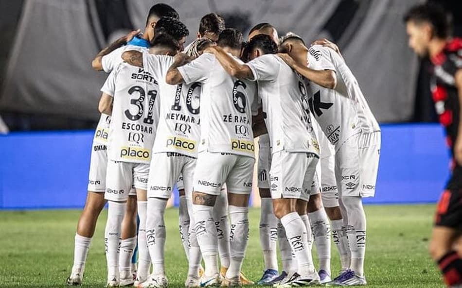 Elenco do Santos busca a terceira vitória seguida no Campeonato Brasileiro. (Foto: Raul Baretta/ Santos FC)