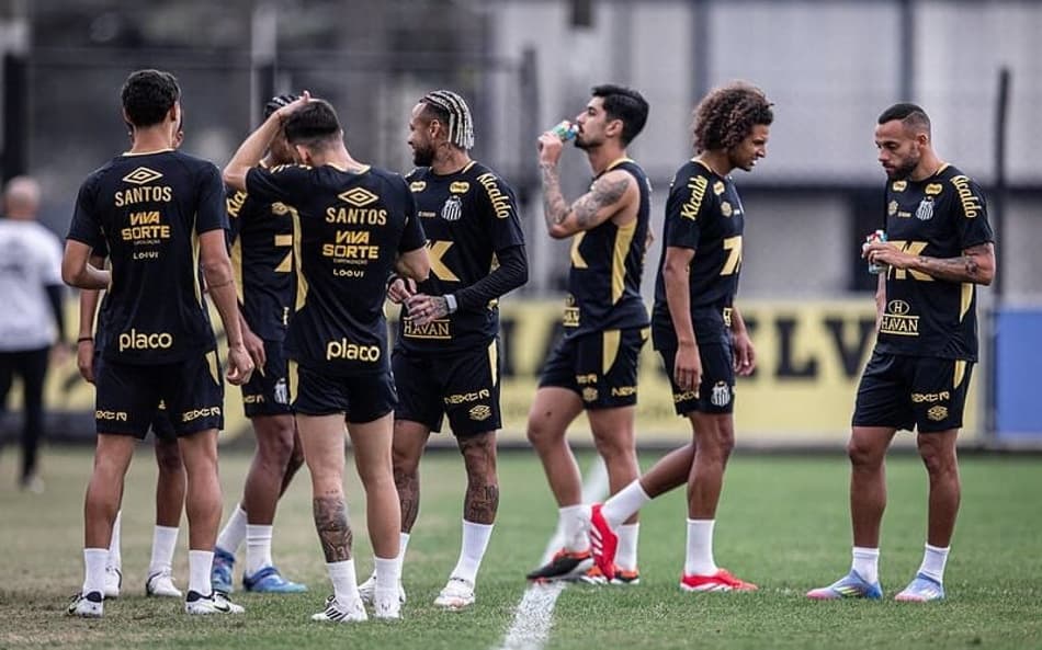 Elenco do Santos treina na parte da tarde nesta terça-feira (22). (Foto: Raul Baretta/ Santos FC)