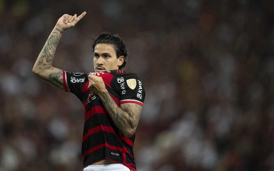 Flamengo x Millonarios - Pedro