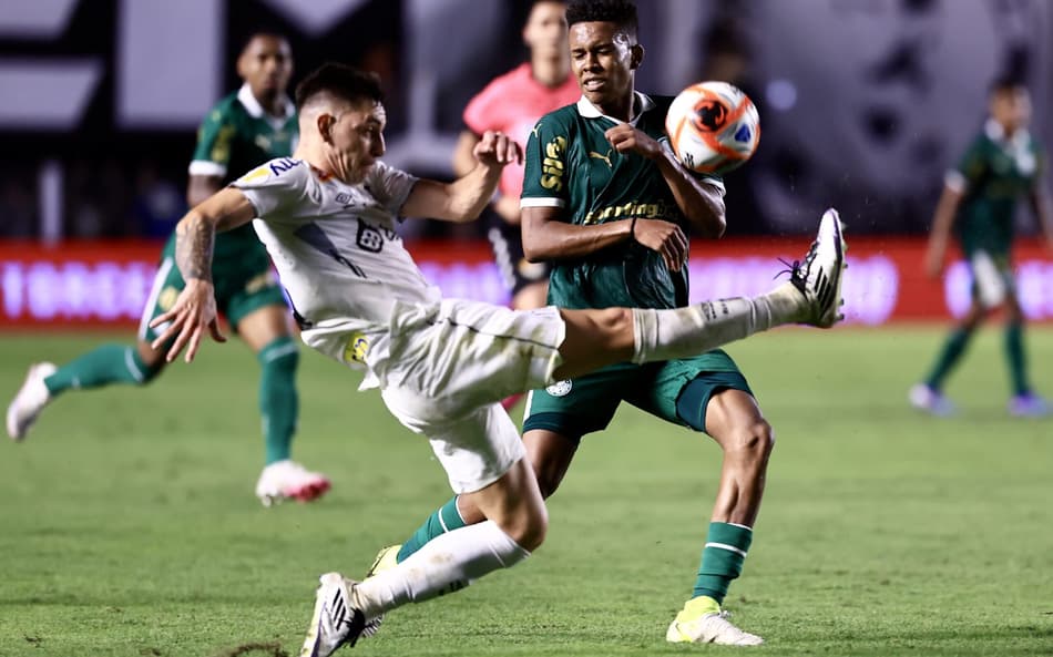Clássico entre o Santos e o Palmeiras foi adiado pela CBF por causa da participação do Verdão no Mundial de Clubes da Fifa. (Foto: Marcello Zambrana/AGIF)