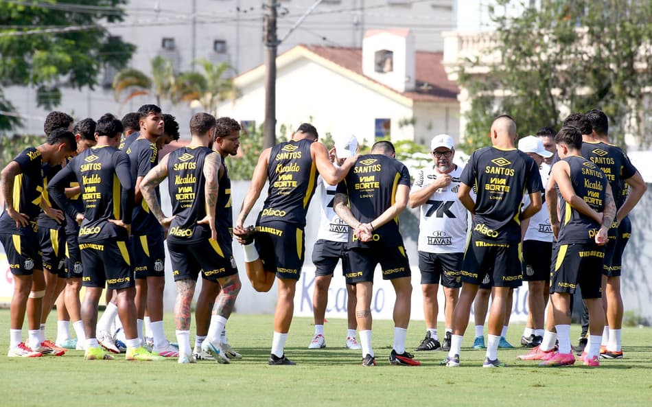 Elenco do Santos está de folga neste domingo (20). (Foto: Mauricio De Souza/AGIF)