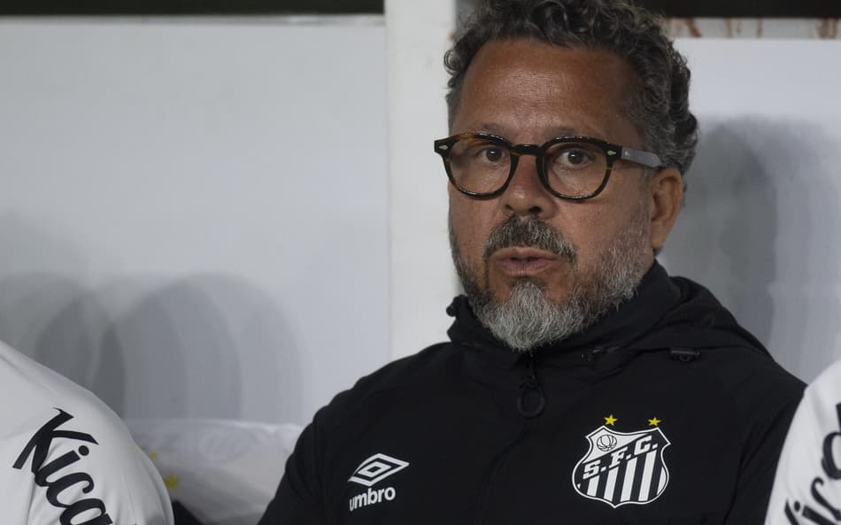 Cleber Xavier, técnico do Santos (Foto: Anderson Romao/AGIF)