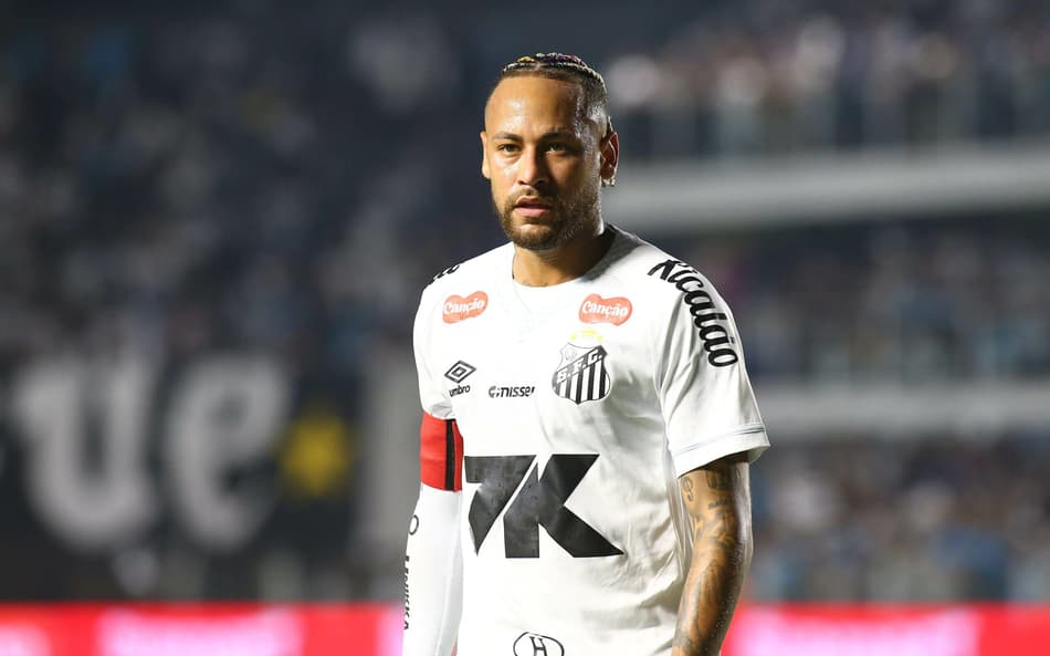 Neymar em ação pelo Santos (Foto: Mauricio De Souza/AGIF)