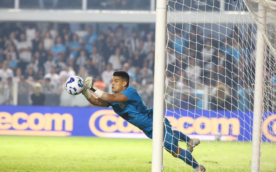 Gabriel Brazão foi um dos destaques do Santos na vitória diante do Flamengo. (Foto: Mauricio De Souza/AGIF)