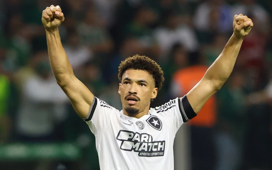 Adryelson em Botafogo x Palmeiras