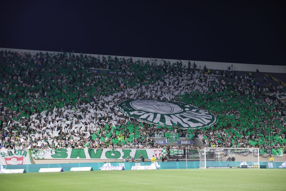 PALMEIRAS TORCIDA