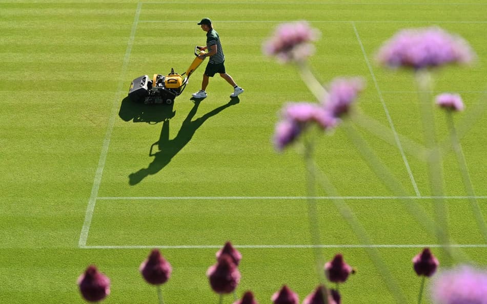 Grama apadara em uma quadra no primeiro dia de Wimbledon (foto: Glyn KIRK / AFP)