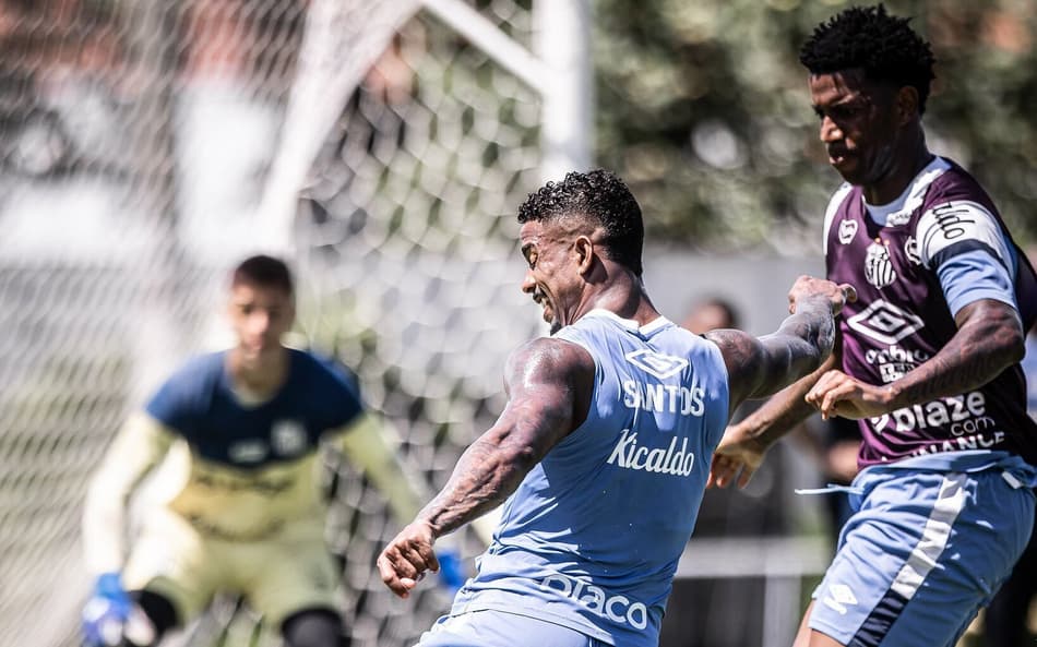 Hayner pode deixar o Santos (Foto: Raul Baretta/ Santos FC)