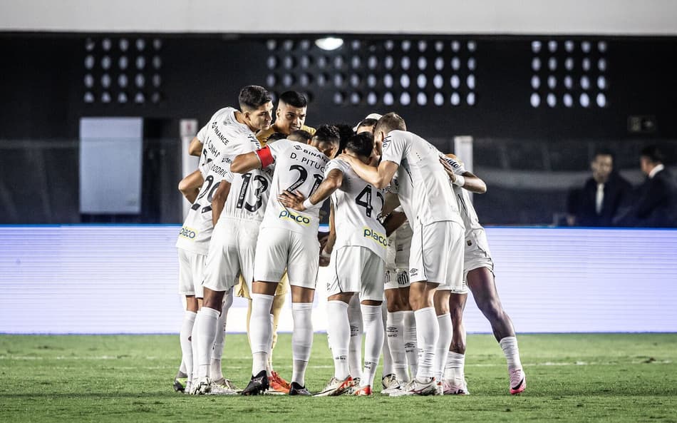 Santos passa por mudanças no elenco (Foto: Raul Baretta/ Santos FC)