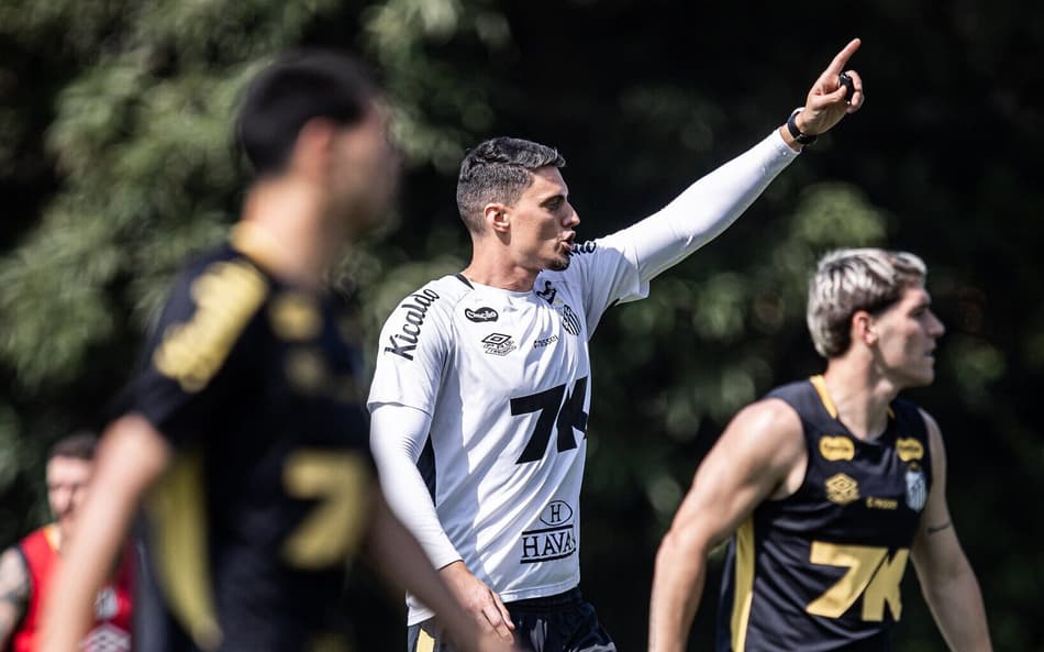 Pressionado, Santos busca voltar a vencer no Brasileirão (Foto: Raul Baretta/ Santos FC)