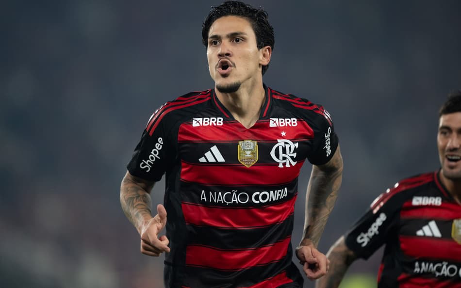 Pedro Flamengo Vitória