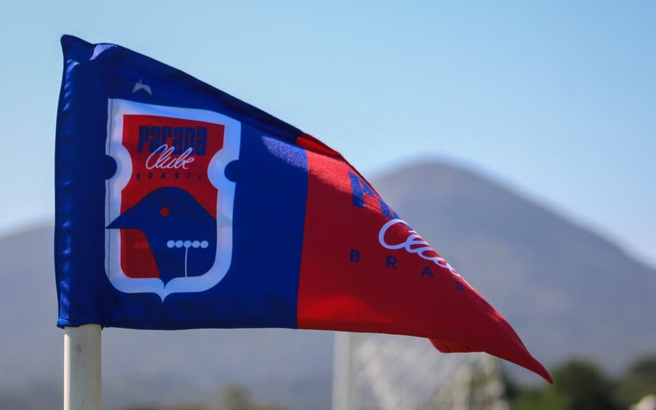 bandeira Paraná Clube