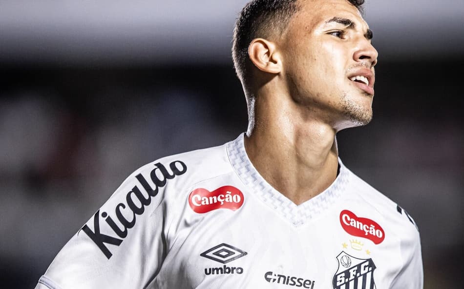 Deivid Washington deixou o Santos (Foto: Raul Baretta/ Santos FC)