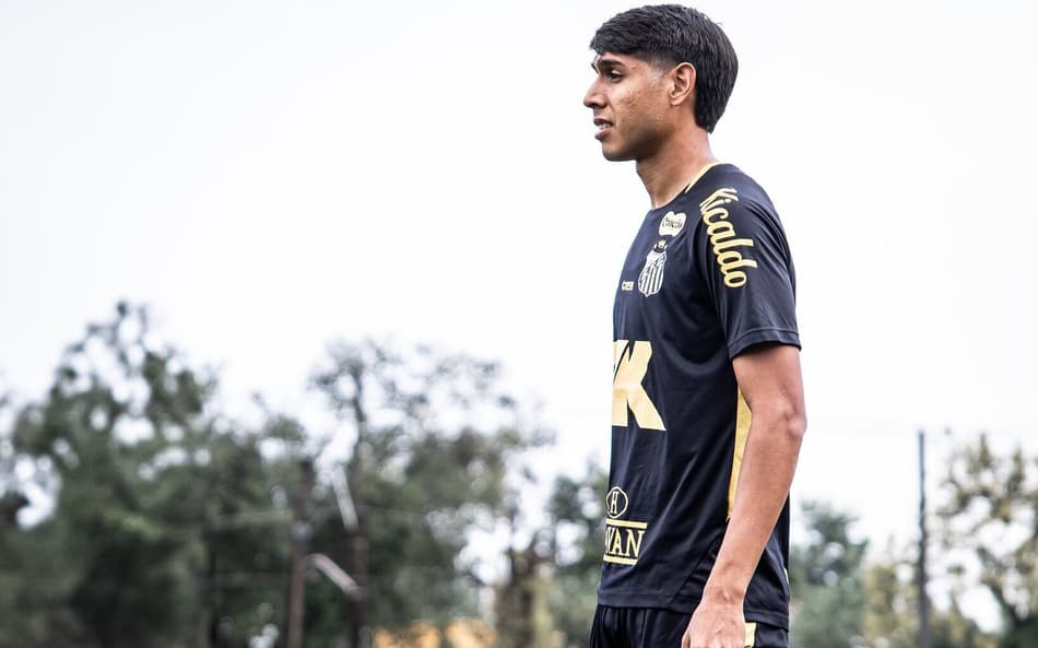 Alexis Duarte está treinando com o restante do grupo (Foto: Raul Baretta/ Santos FC)