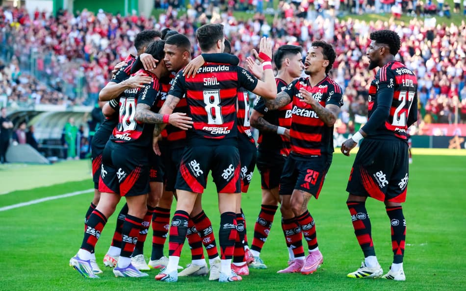Flamengo comemora gol diante do Juventude (Foto: Luiz Erbes/AGIF)