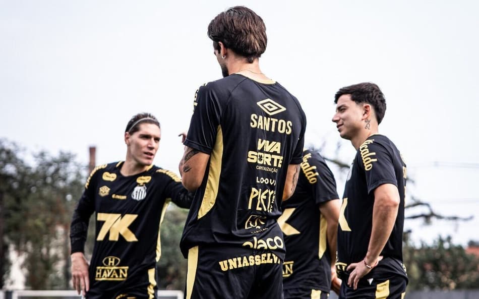 Rollheiser volta ao time após cumprir suspensão (Foto: Divulgação/ Santos)