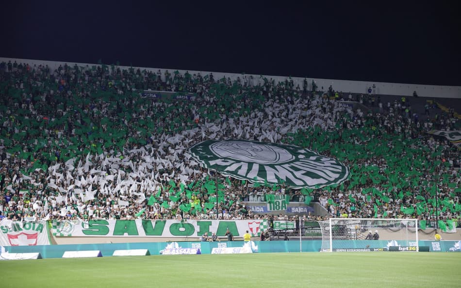 PALMEIRAS TORCIDA