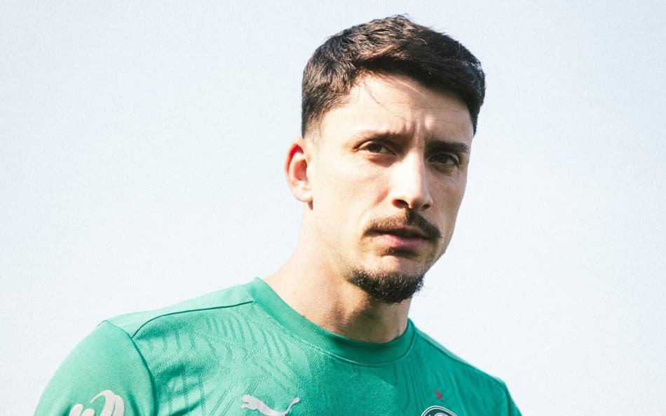 Palmeiras Piquerez
