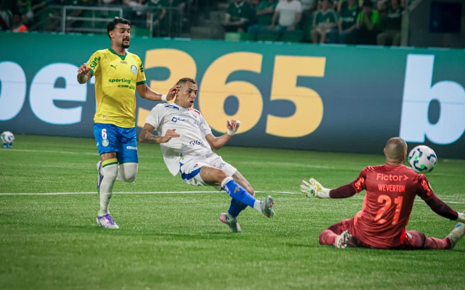 Partida entre Palmeiras e Fortaleza, pelo Brasileirão (Mateus Lotif/Fortaleza EC)