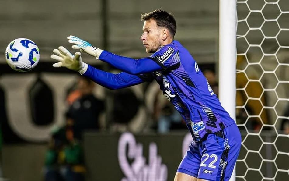 Neto é o novo goleiro do Botafogo (Foto: Vítor Silva/Botafogo)