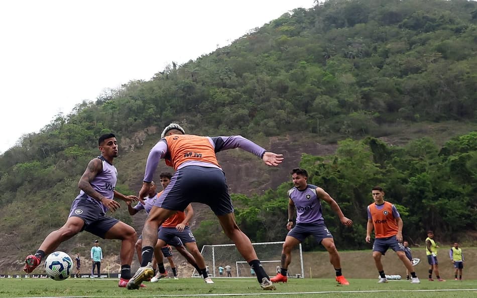 Botafogo tem novos desfalques por lesão; veja relacionados para duelo com o Mirassol