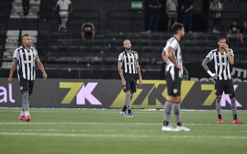 Botafogo vive momento de oscilação na temporada (Foto: Thiago Ribeiro/AGIF)