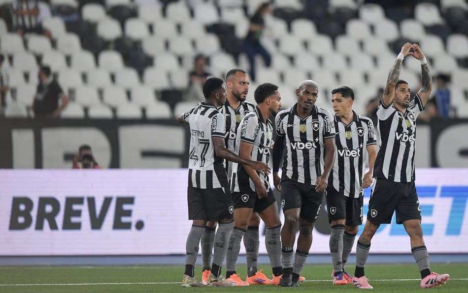 Botafogo venceu o Bahia em casa pelo Brasileirão (Foto: Thiago Ribeiro/AGIF)