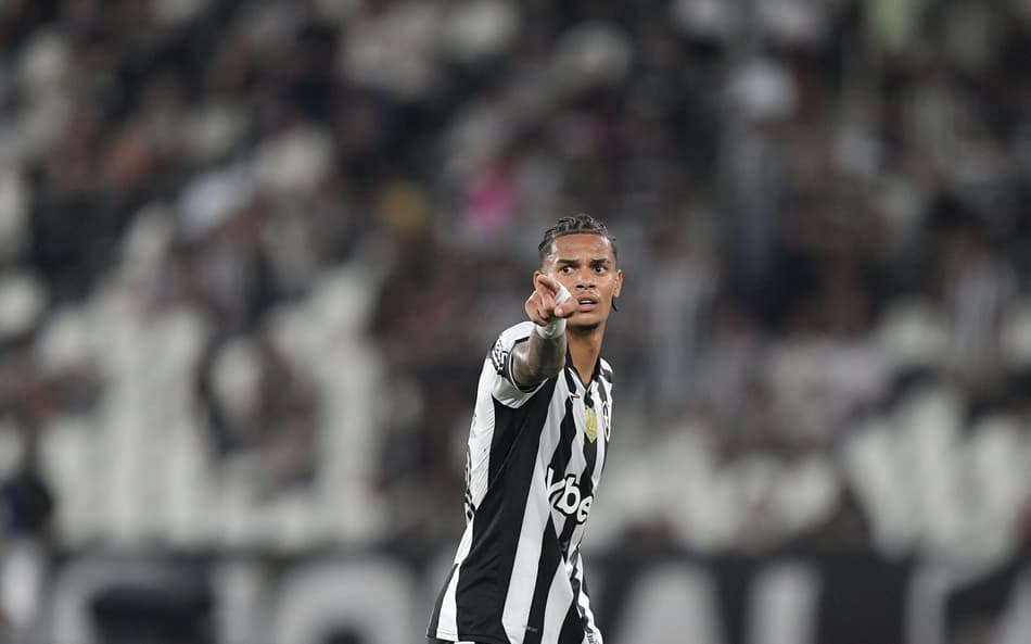 Newton é um dos destaques do Botafogo nos últimos jogos (Foto: Thiago Ribeiro/AGIF)