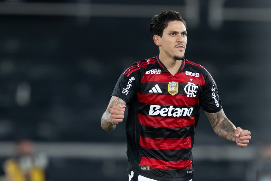 Pedro comemora gol do Flamengo contra o Botafogo (Foto: Jorge Rodrigues/AGIF)