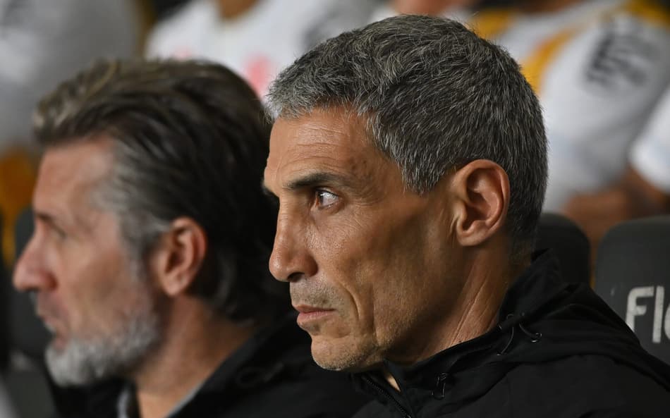 Vojvoda, técnico do Santos