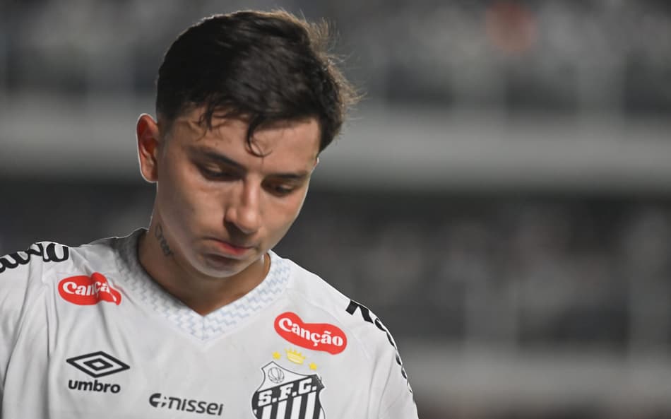 Santos está em risco no Brasileirão (Foto: Jota Erre/AGIF)