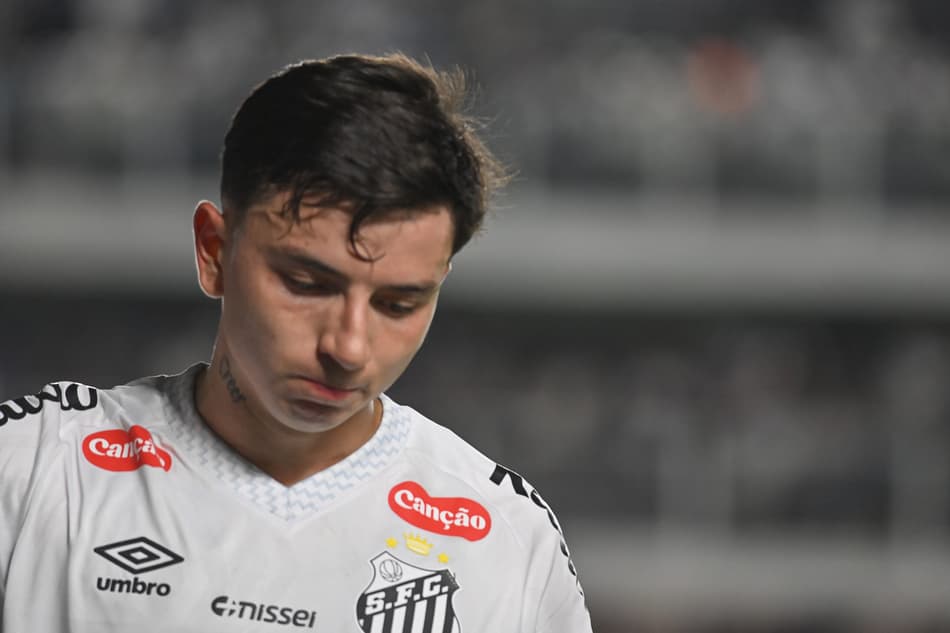 Santos está em risco no Brasileirão (Foto: Jota Erre/AGIF)