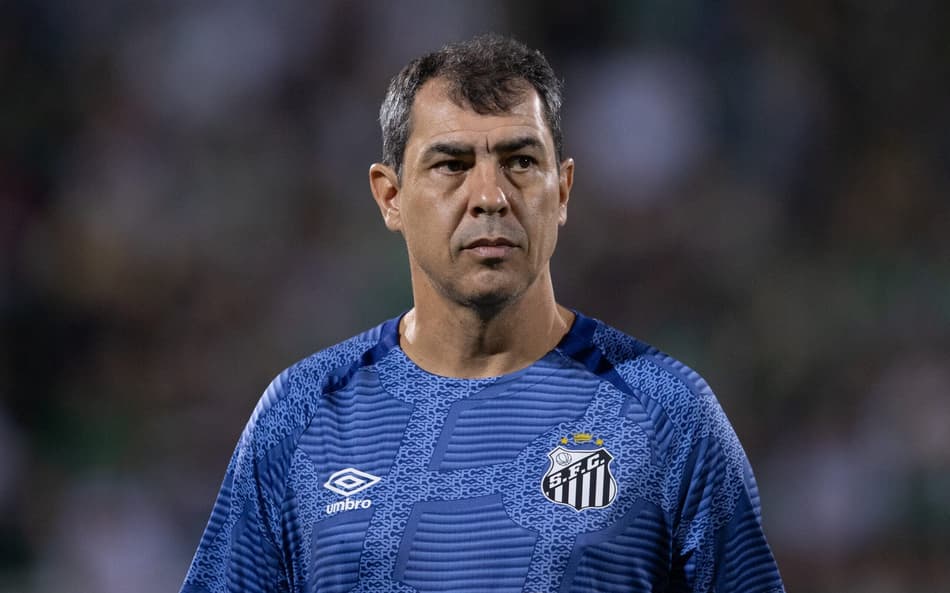 Fábio Carille durante jogo entre Chapecoense x Santos, pela Série B