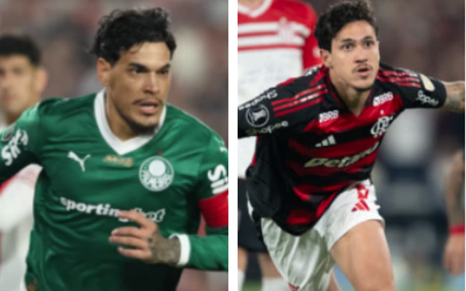 Flamengo e Palmeiras se enfrentam neste domingo (19) (Foto: AFP)