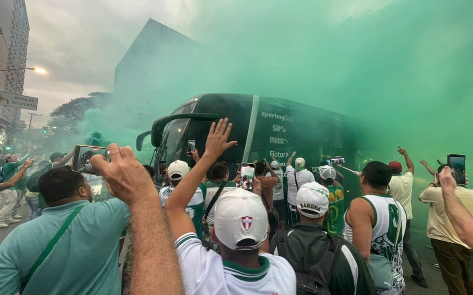 Palmeiras torcida