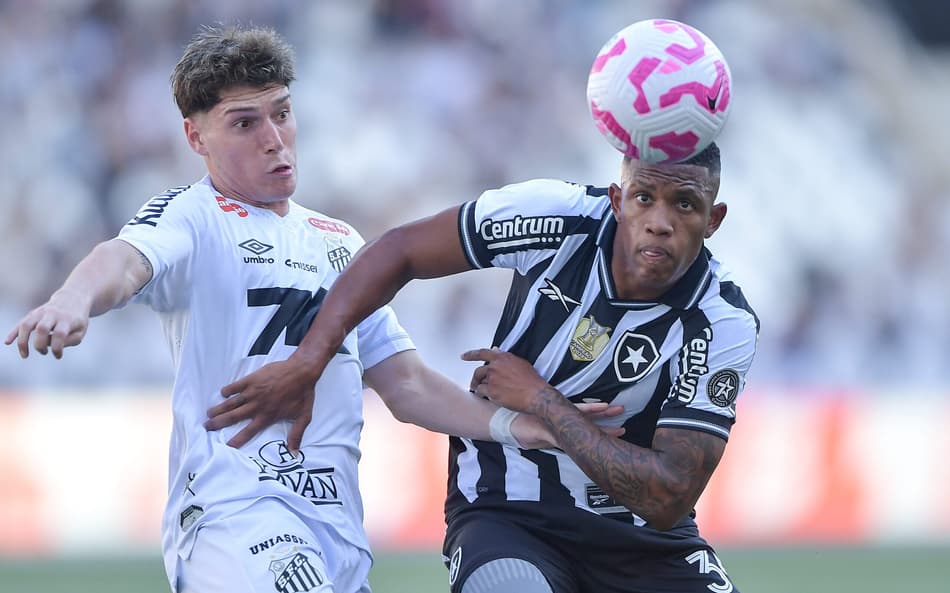 Danilo e Rollheiser disputam bola em Botafogo x Santos (Foto: Thiago Ribeiro/AGIF)